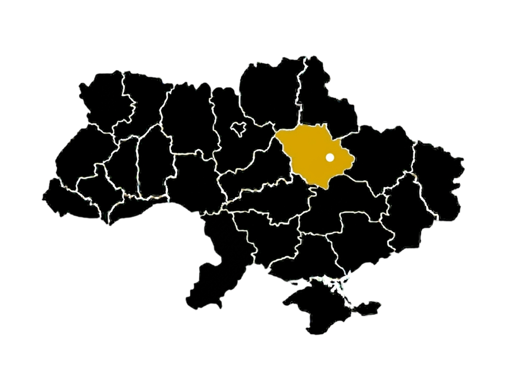 SEO у Полтаві