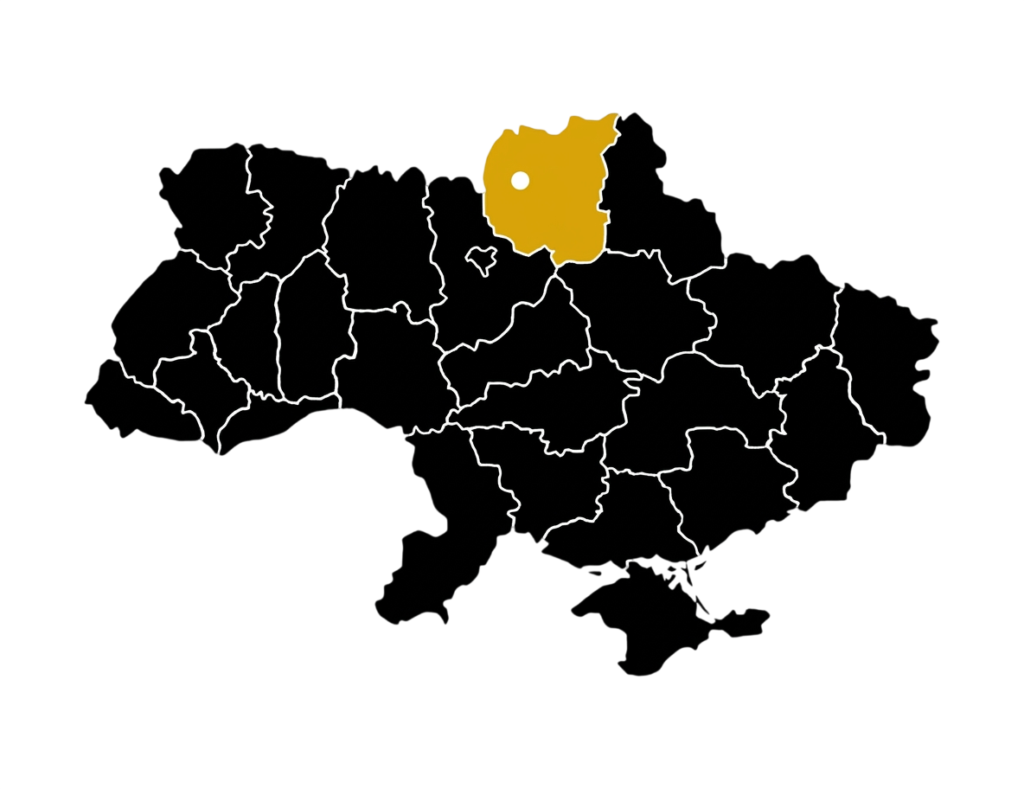 SEO Чернігів